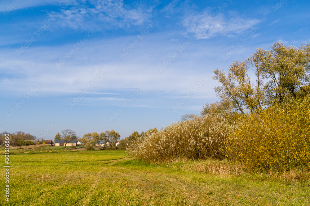 Jesień w Dolinie Górnej Narwi - Podlasie - Polska Jesień w Dolinie Górnej Narwi - Podlasie - Polska