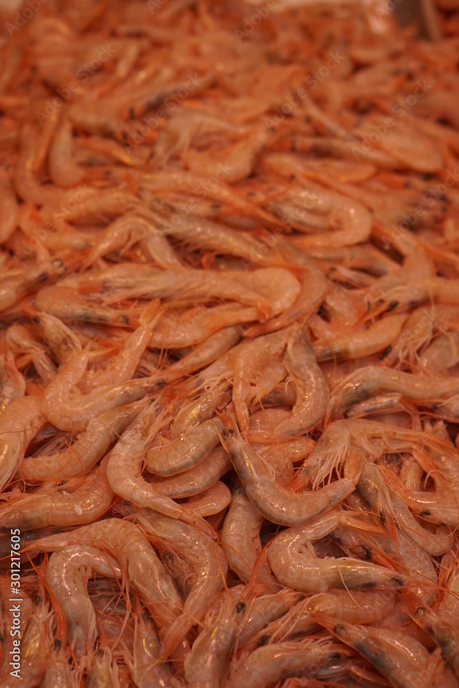 pesacados maricos y moluscos vendido en el mercado de atarazanas malaga gambas arroceras pesacados maricos y moluscos vendido en el mercado de atarazanas malaga gambas arroceras