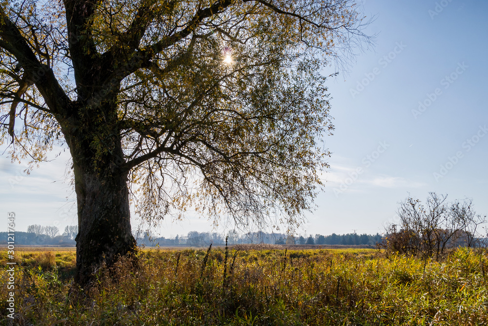 Jesień w Dolinie Górnej Narwi - Podlasie - Polska