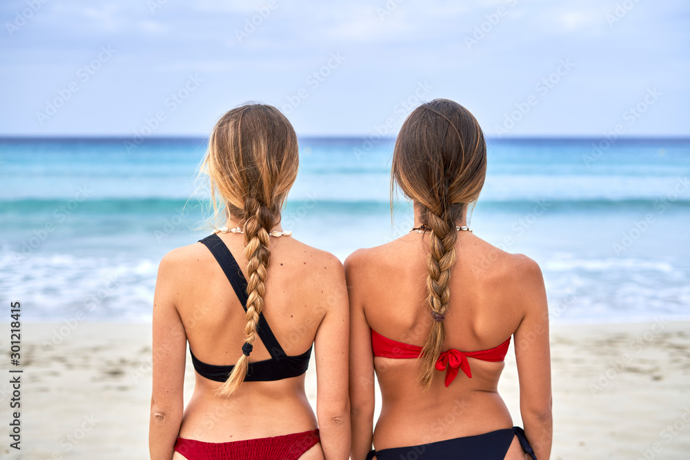Rear view of two young women standing on a beach Rear view of two young women standing on a beach