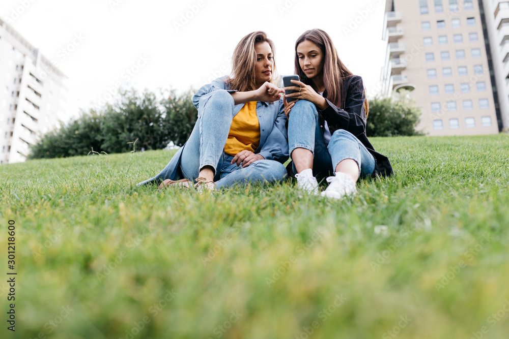Two friends looking on the smartphone, sitting on a meadow of a park Two friends looking on the smartphone, sitting on a meadow of a park