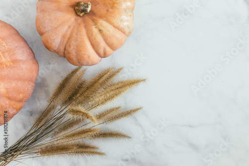 Rustic pumpkins with dried grass on marble backdrop photo