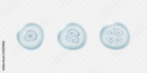 Cell division isolated on transparent background. Vector reproduction stem conception. Biology research mitosis patern.
