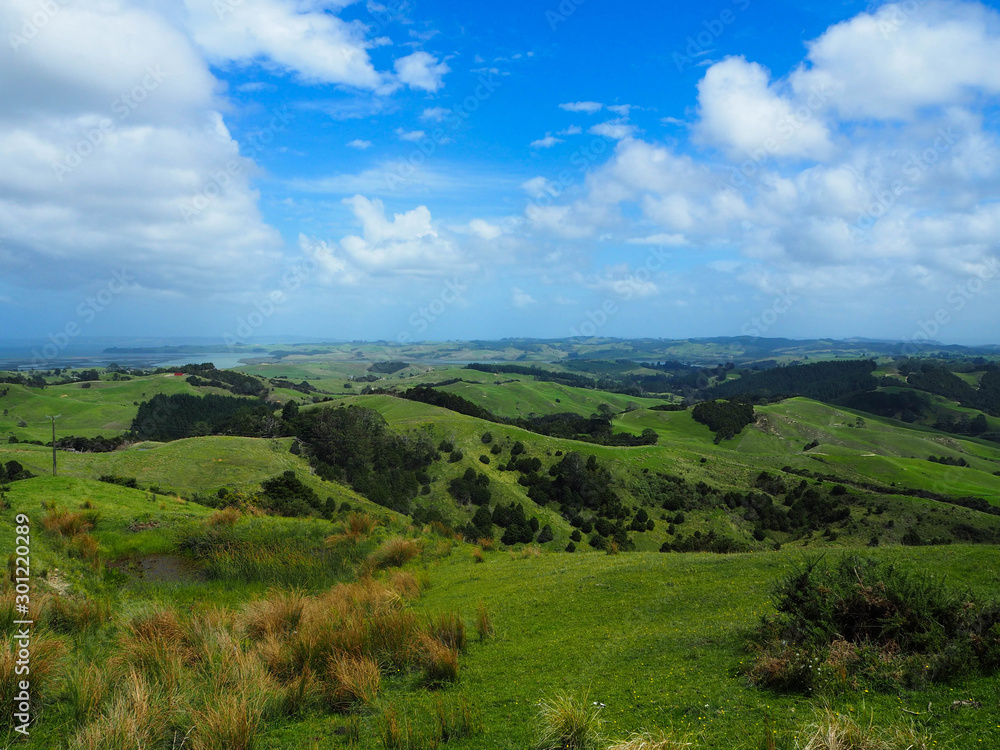 the green hills of new Zealand