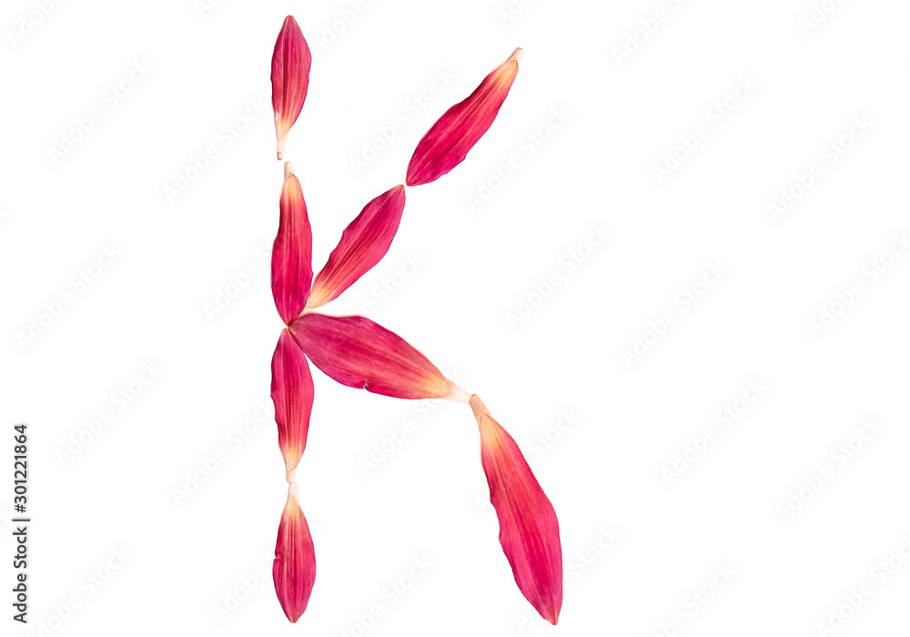 Alphabet from flower petals of a pink color on a white background. Isolated top view, letter k.