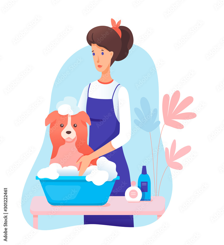 Woman pet groomer in apron washing dog cartoon Woman pet groomer in apron washing dog cartoon