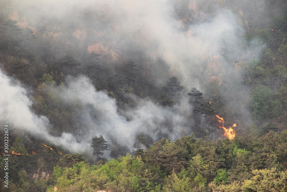 Fototapeta premium Wilderness and forest fire hazard