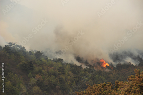 Wilderness and forest fire hazard