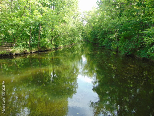 Small river in the middle of a green forest