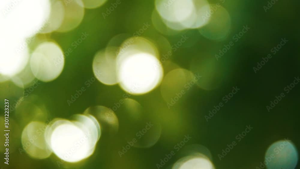 Beautiful nature green bokeh sunshine abstract blurred background, foliage plant leaves shadow swaying in the wind with sunbeam and sun flare. Beautiful nature green bokeh sunshine abstract blurred background, foliage plant leaves shadow swaying in the wind with sunbeam and sun flare.