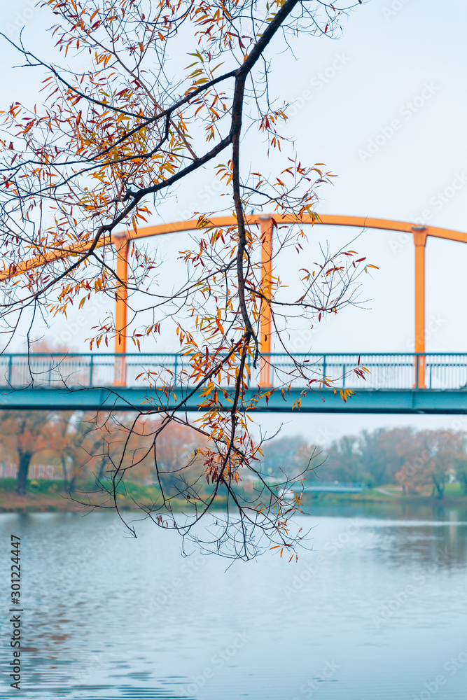 Colorful autumn park. Autumn trees with yellow leaves in the autumn park. Belgorod. Russia. Colorful autumn park. Autumn trees with yellow leaves in the autumn park. Belgorod. Russia.