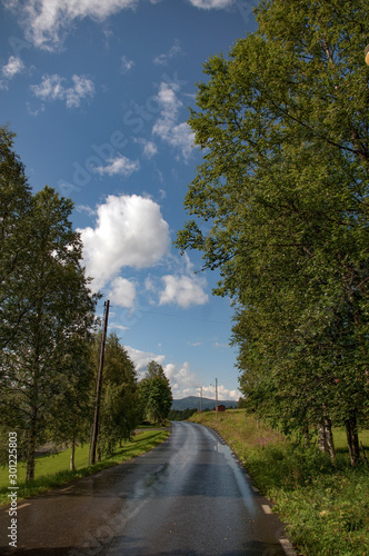 road in the forest sweden © Mats