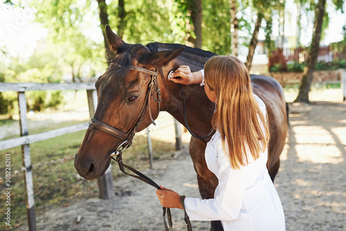 Using stethoscope. Female vet examining horse outdoors at the farm at daytime