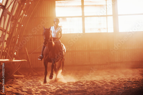 Majestic image of horse silhouette with rider on sunset background. The girl jockey on the back of a stallion rides in a hangar on a farm © standret