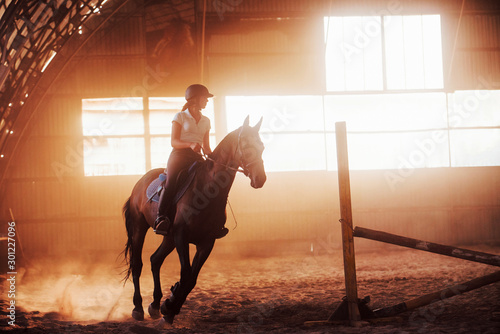 Majestic image of horse silhouette with rider on sunset background. The girl jockey on the back of a stallion rides in a hangar on a farm © standret