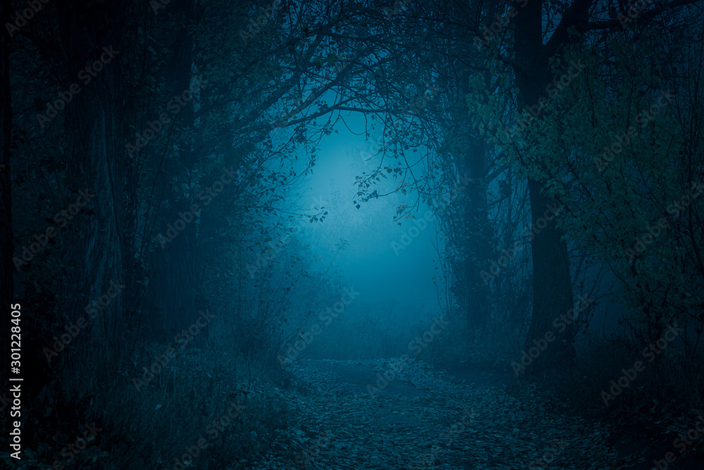 Mysterious, blue-toned forest pathway. Footpath in the dark, foggy, autumnal, cold forest among high trees. - obrazy, fototapety, plakaty 