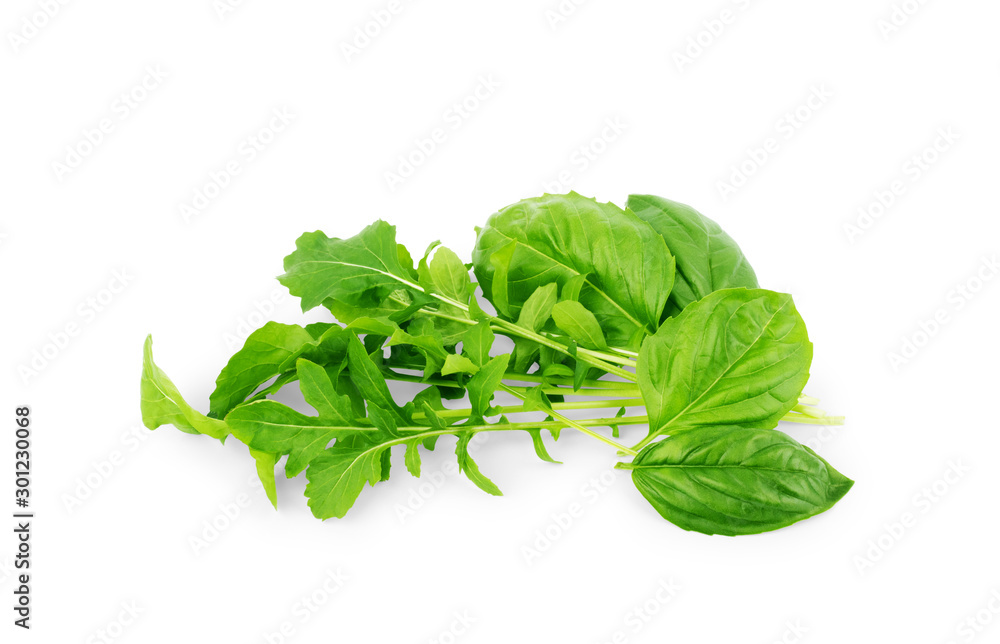 Basil and arugula on a white background Basil and arugula on a white background