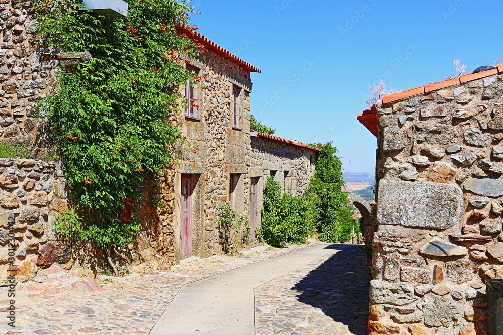 Obraz premium PT-CASTELORODRIGO-009