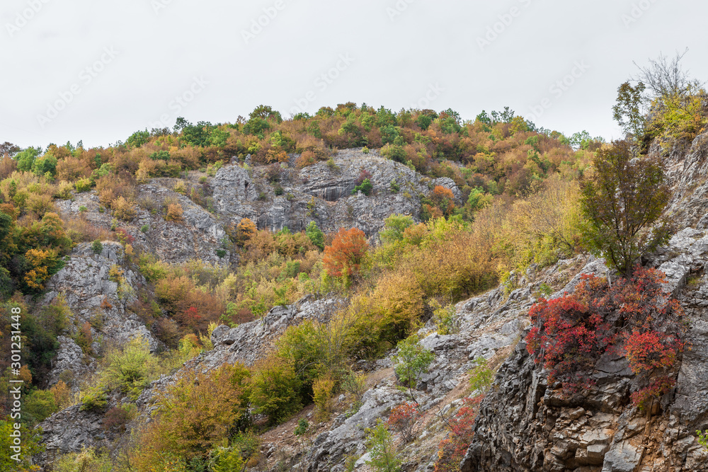 Vivid colors of the autumn trees on a rocky cliff in a canyon in Serbia, with red, green and yellow trees under a white sky
