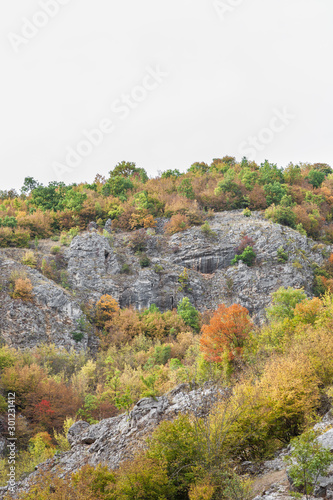 Vivid colors of the autumn trees on a rocky cliff in a canyon in Serbia, with red, green and yellow trees under a white sky