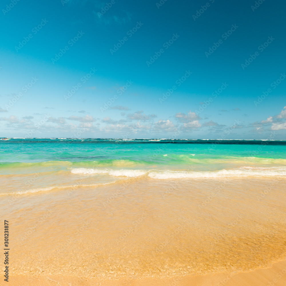 Sea wave on the sand of a tropical beach in a wild turquoise bay