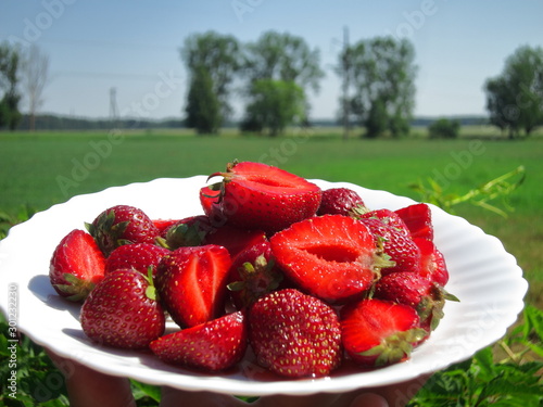 Background of whole strawberries in white plate close up on nature background with blue sky