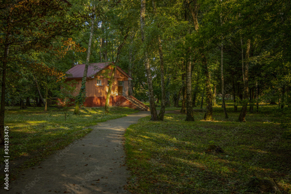 rustic concrete house in forest scenic environment with dirt trail rustic concrete house in forest scenic environment with dirt trail