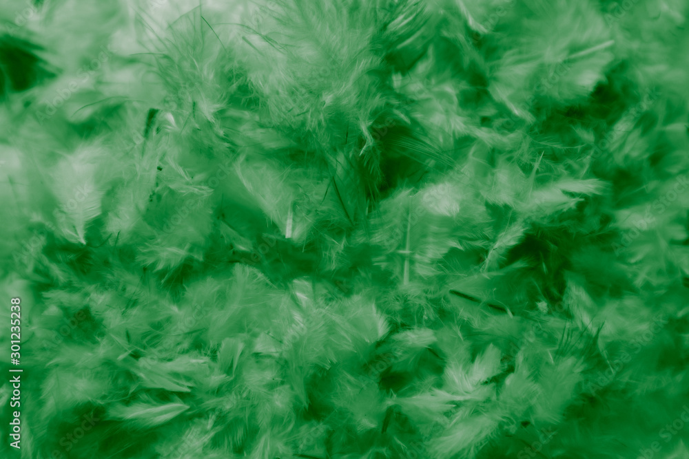 Beautiful Abstract Blue and Green Feathers on Dark Background and Soft  White Feather Texture on White Pattern and Green Background Stock Image -  Image of nature, decoration: 192812835