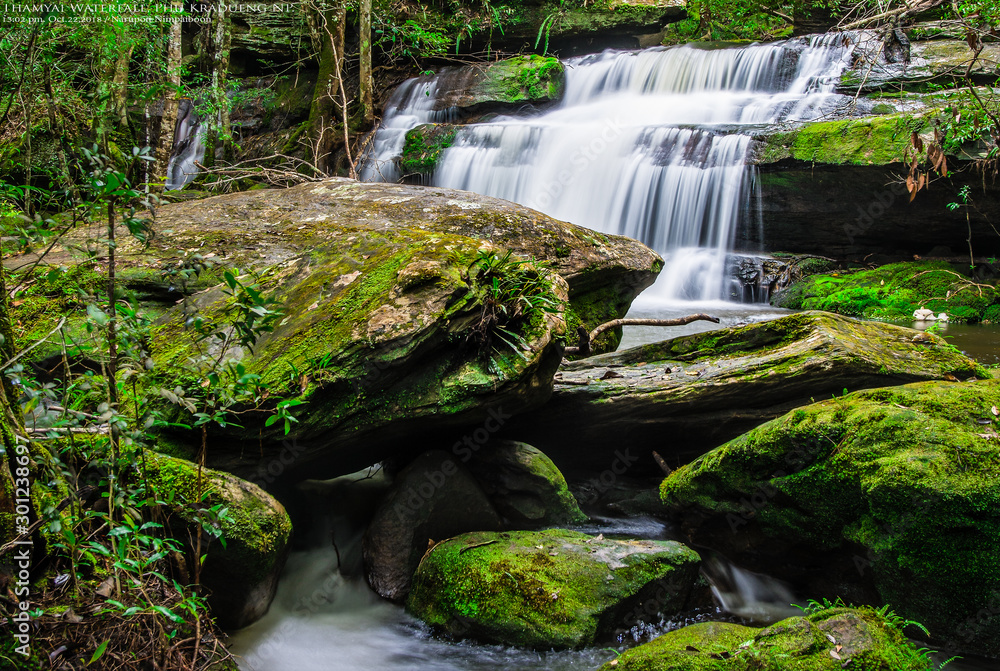 Tham yai waterfall, a beautiful waterfall in a forest filled with green trees at Phu Kradung National Park in the rainy season, which is famous tourist destination in Thailand.