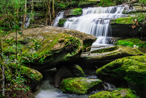 Tham yai waterfall, a beautiful waterfall in a forest filled with green trees at Phu Kradung National Park in the rainy season, which is famous tourist destination in Thailand.