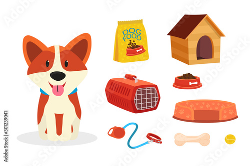 Dog and accessories flat vector illustrations set