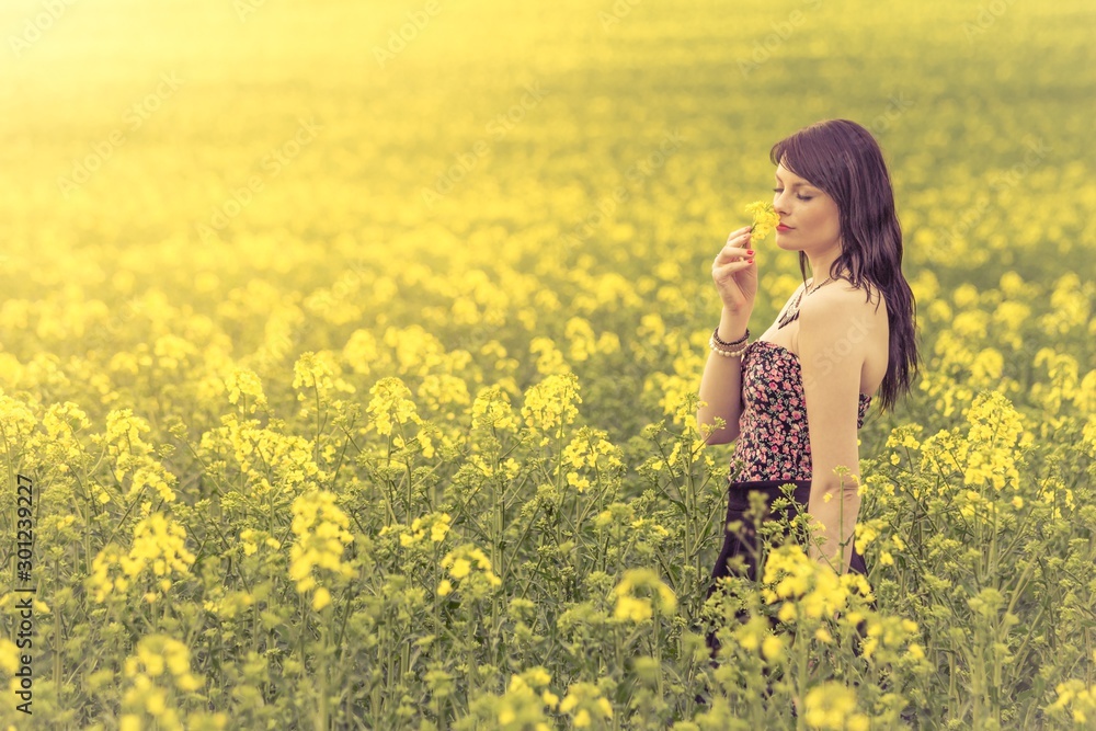 Beautiful woman in meadow of flowers enjoying sniffing flower. Attractive genuine young girl enjoying the warm summer sun in a wide green and yellow meadow. Part of series Beautiful woman in meadow of flowers enjoying sniffing flower. Attractive genuine young girl enjoying the warm summer sun in a wide green and yellow meadow. Part of series