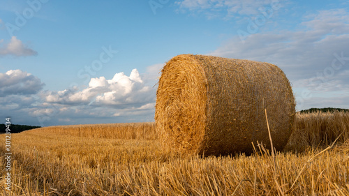 Close up of a hay bale on the field