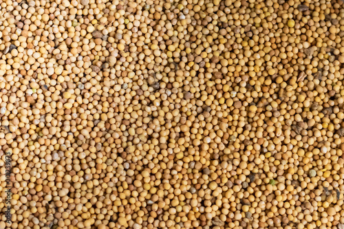 A lot of mustard seeds is ready for being seyed on the ground in a vegetable garden as a fast growing green manure and effectively suppress weeds