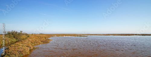 Panorama of water in Camargue, France