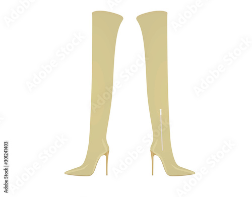 Beige women long boot. high heel. vector illustration