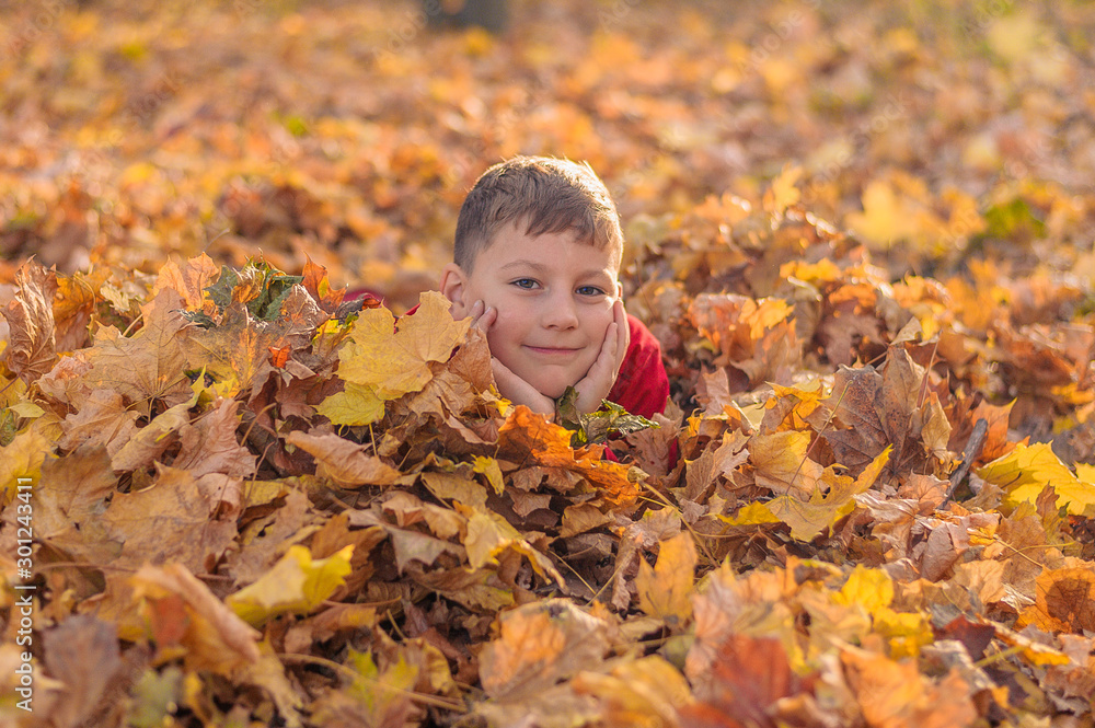 little boy hid in fallen autumn yellow foliage in the park little boy hid in fallen autumn yellow foliage in the park