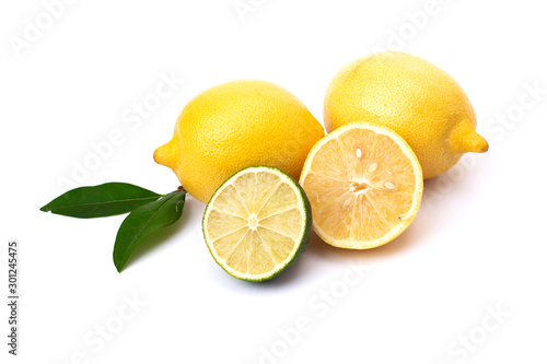Lime and limon on a white background. Whole and halves limes isolated on white background. Yellow lemon with lime on isolated background. Full depth of field.