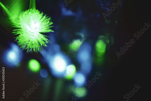 Green and blue bokeh of christmas lights