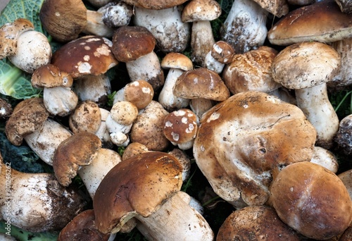 Mushrooms in Paris