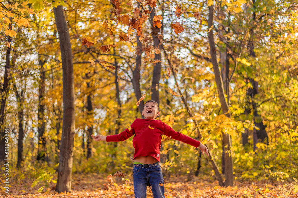 young guy in red laughs in the autumn forest and bounced up throws yellow leaves young guy in red laughs in the autumn forest and bounced up throws yellow leaves