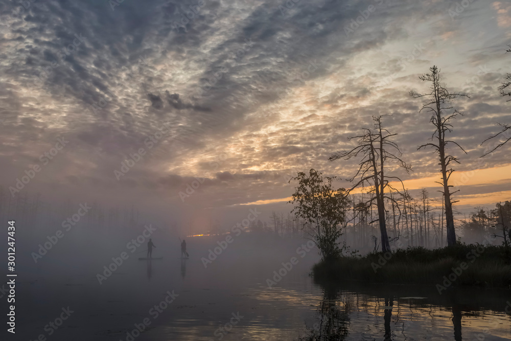 Sunrise at foggy swamp with small dead trees covered in early morning with people on sup boards Sunrise at foggy swamp with small dead trees covered in early morning with people on sup boards