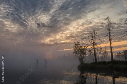 Sunrise at foggy swamp with small dead trees covered in early morning with people on sup boards