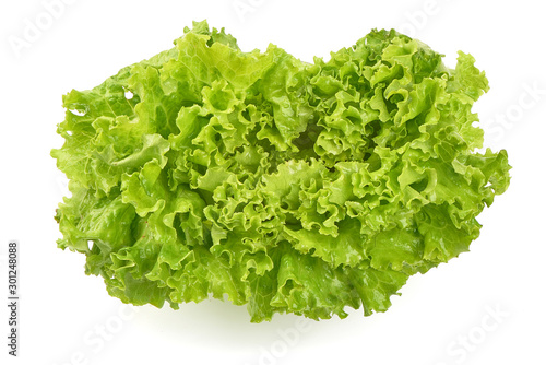 Lettuce Salad leaves, isolated on white background