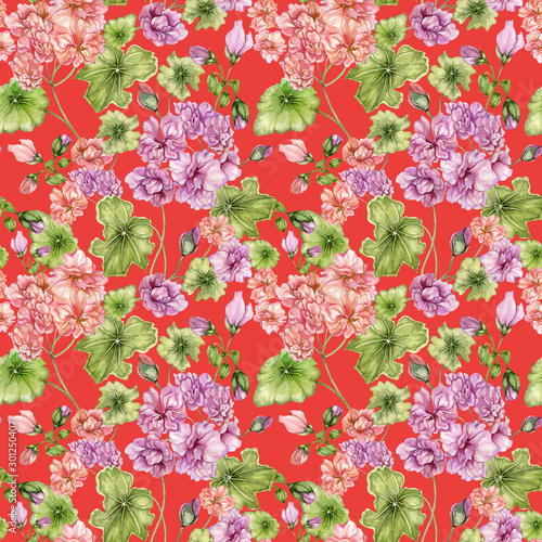 Beautiful floral background with pelargonium flowers and leaves. Seamless bot...