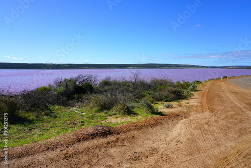 Day view of the Pink Lake near Port Gregory on the Coral Coast in Western Australia