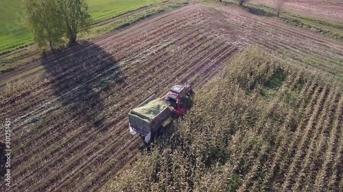 Two corn harvester tractors operating in the cornfield. AERIAL FOLLOW SHOT photo