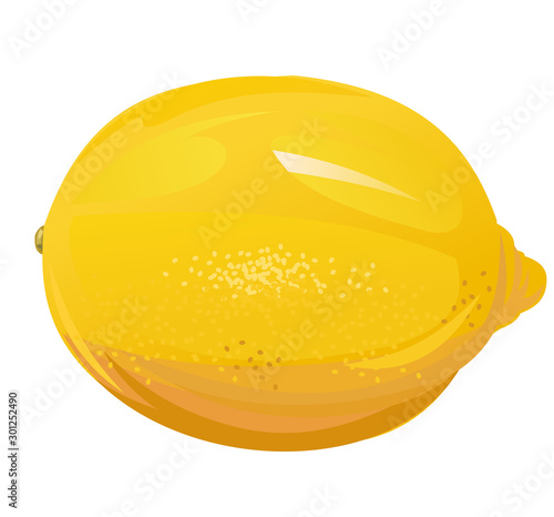 Lemon. Sour citrus fruit. Yellow southern fruit. Isolated object. Vector illustration. Ripe juicy lemon.