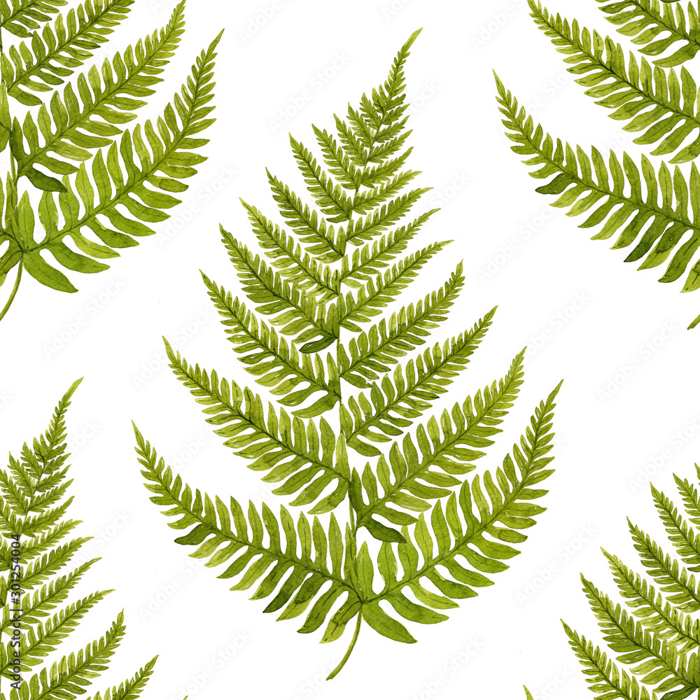 Green watercolor fern leaves seamless pattern isolated on white background. Real watercolor. Botanical illustration.