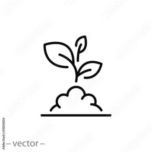 growth plant icon, outline flower leaf, nature, environment, seedling in the soil, thin line web symbol on white background - editable stroke vector illustration eps 10
